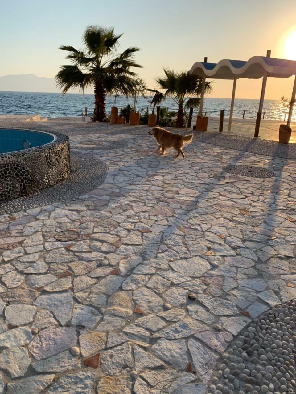 Bougainville Bay Resort - Villa 11 Sarandë 외부 사진